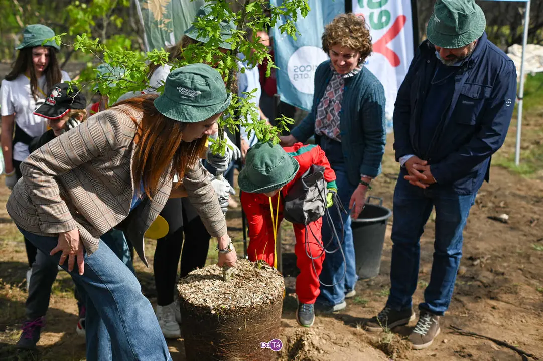 replantacion a caridade-6