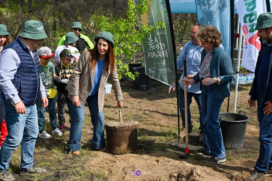 replantacion a caridade-8