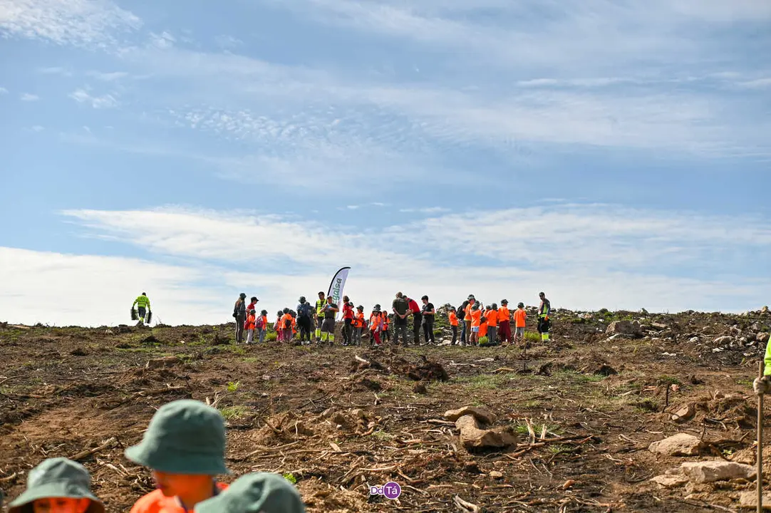 replantacion a caridade-9