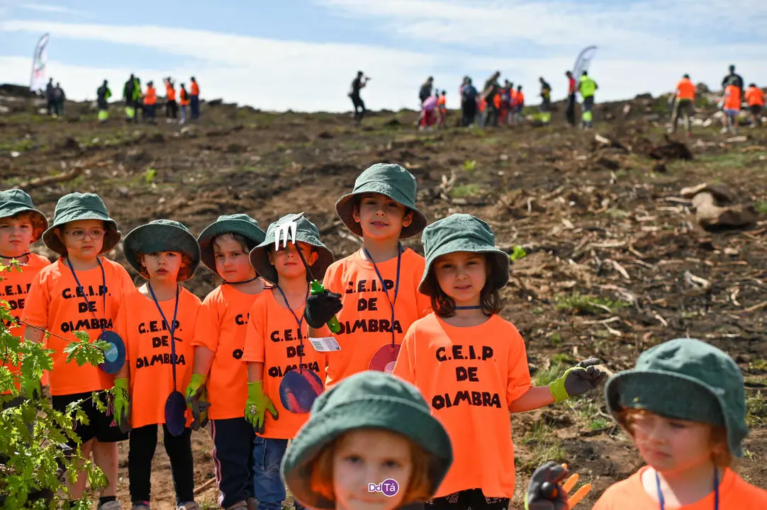 replantacion a caridade-11
