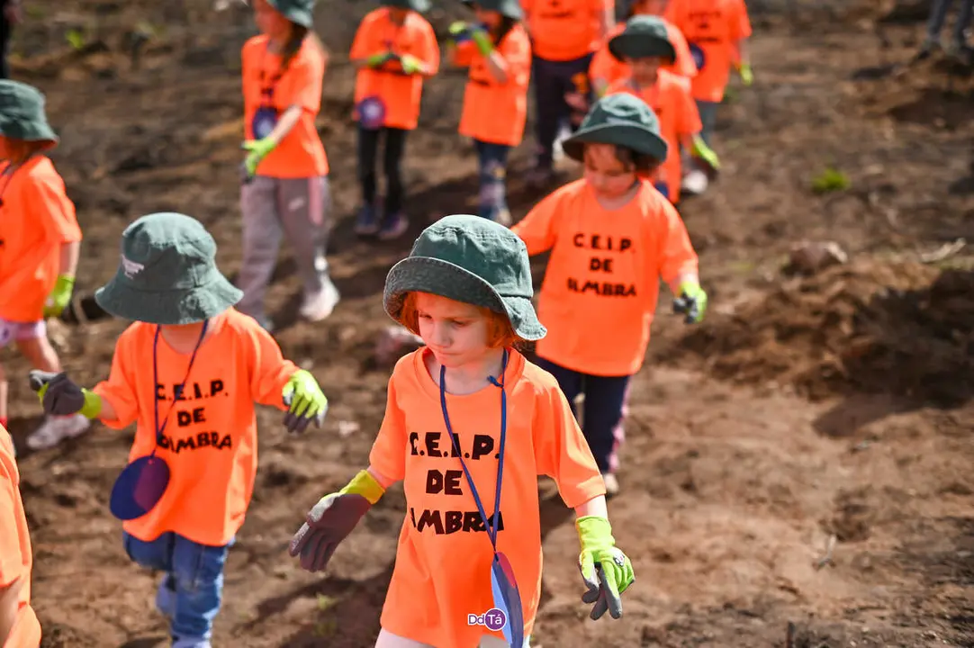 replantacion a caridade-14