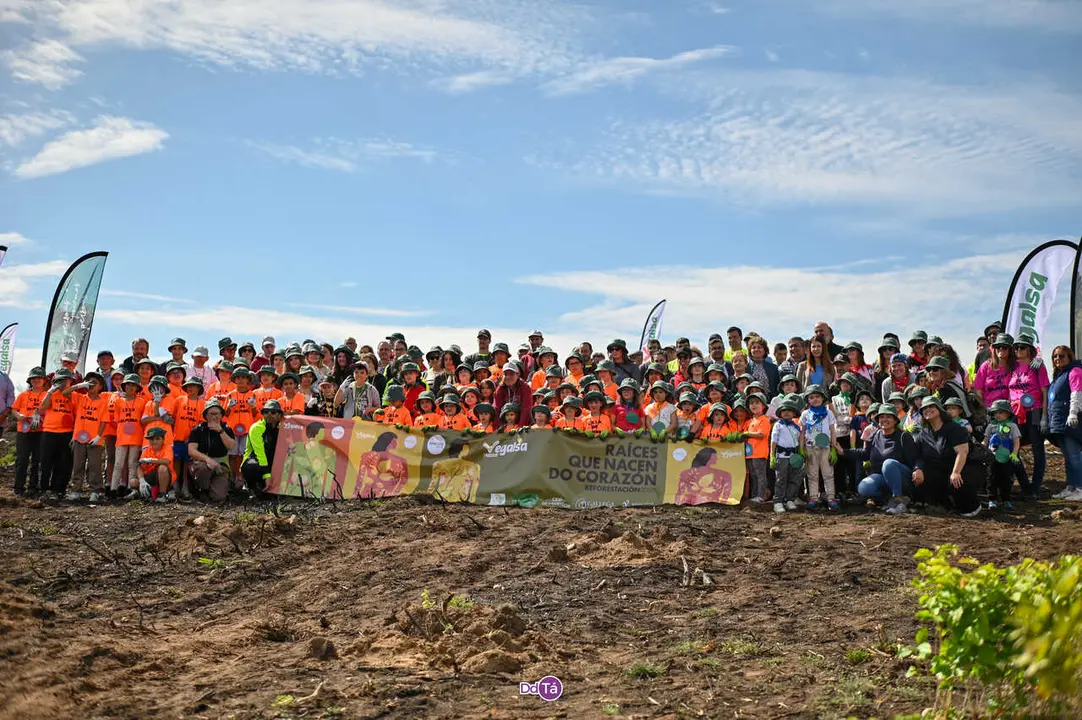 Participantes na xornada de reforestaci&oacute;n desenvolvida no monte da Caridade. | FOTO: Noelia Caseiro.