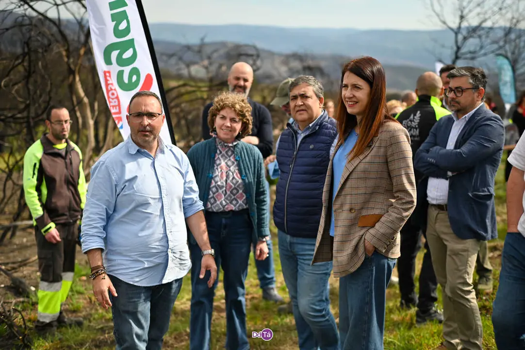 replantacion a caridade-26