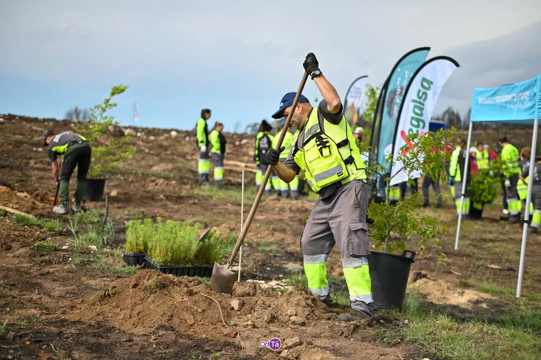 replantacion a caridade-28