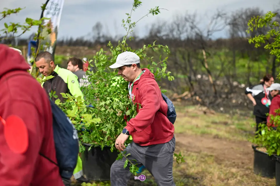 replantacion a caridade-29