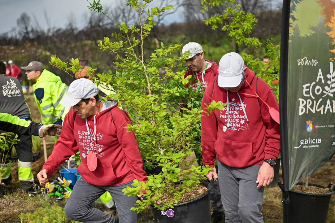 replantacion a caridade-30