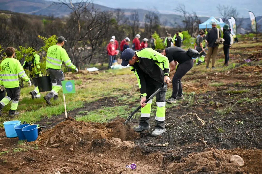 replantacion a caridade-38