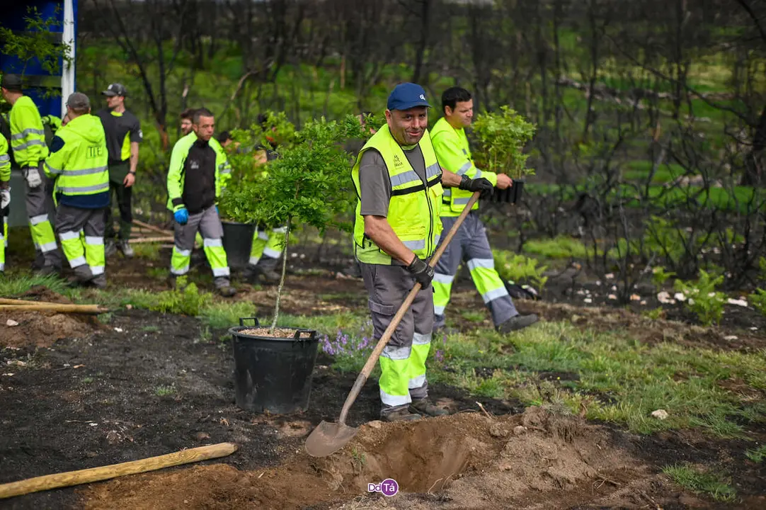 replantacion a caridade-40