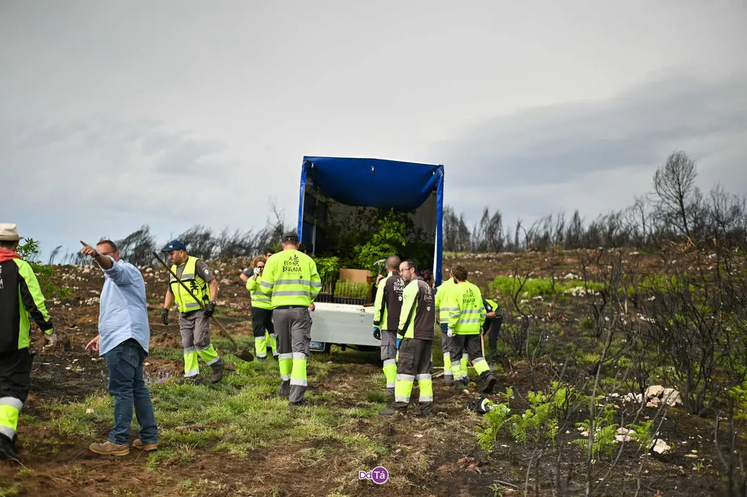replantacion a caridade-41