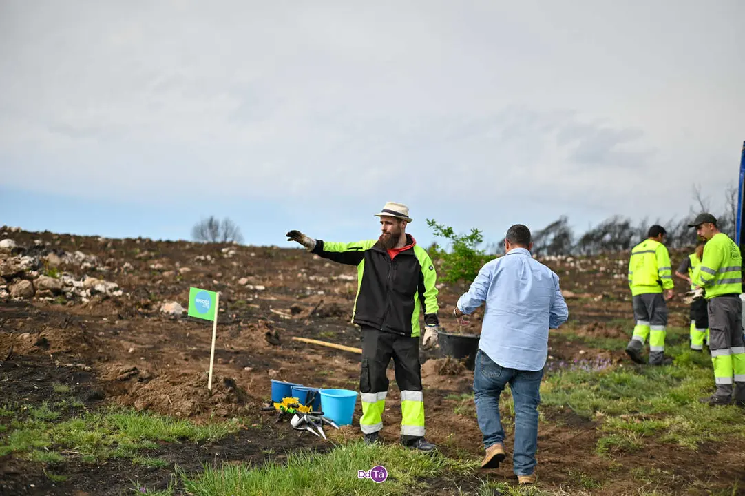 replantacion a caridade-42