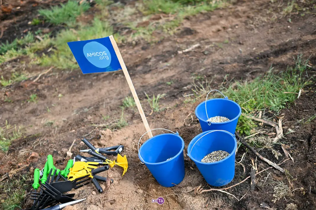 replantacion a caridade-44