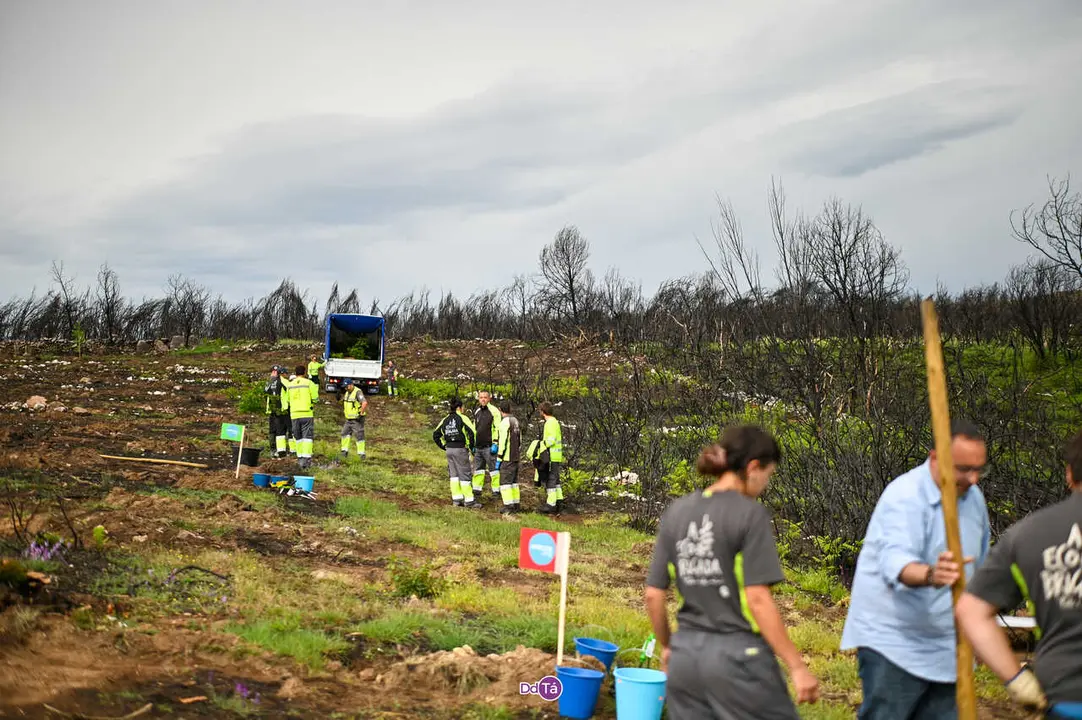 replantacion a caridade-46