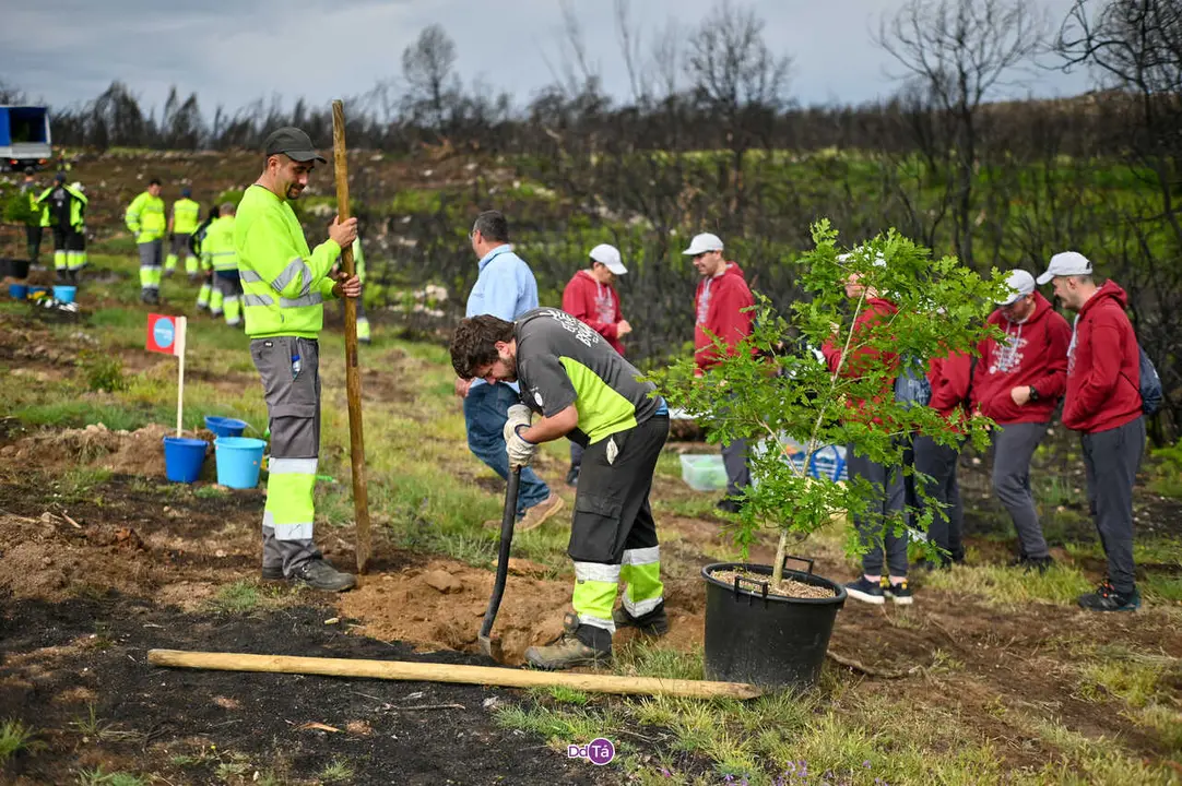 replantacion a caridade-47