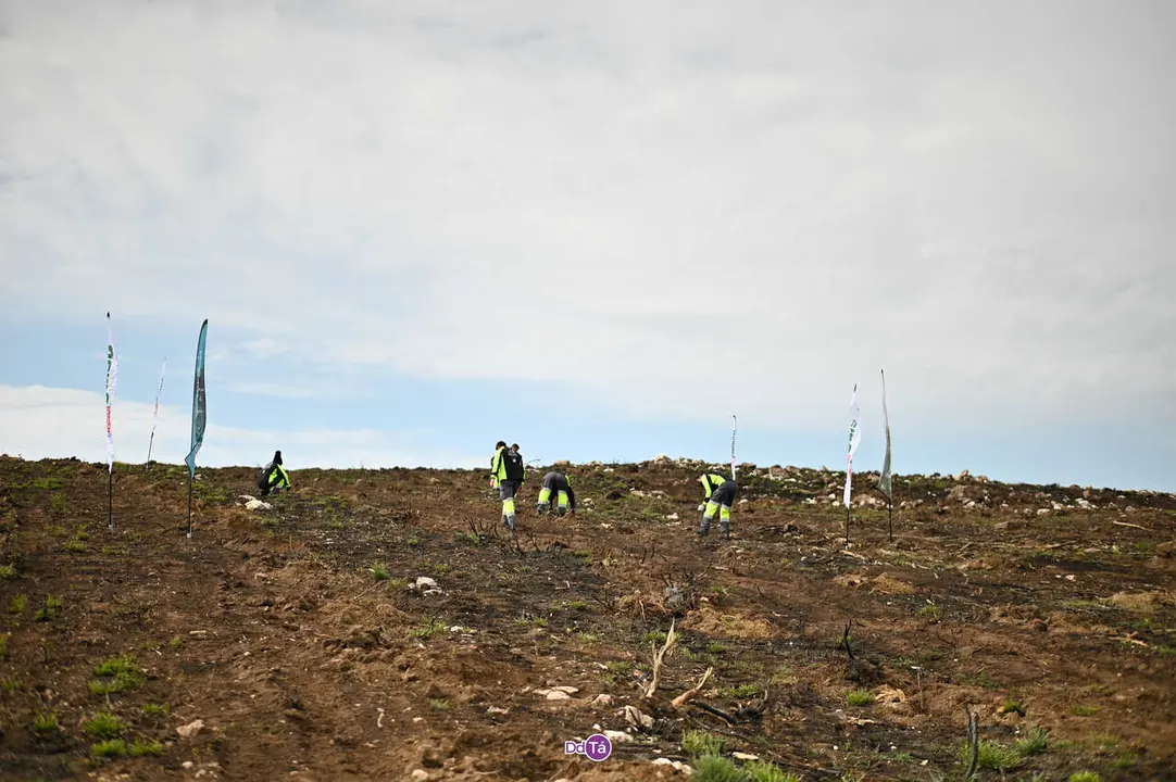 replantacion a caridade-48
