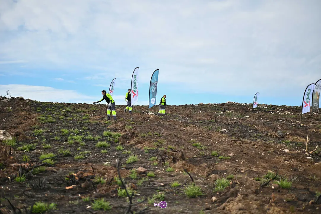 replantacion a caridade-49