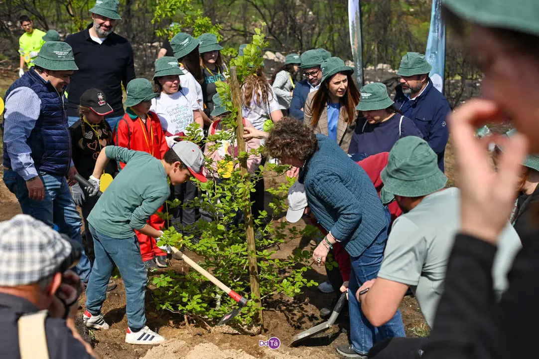 replantacion a caridade