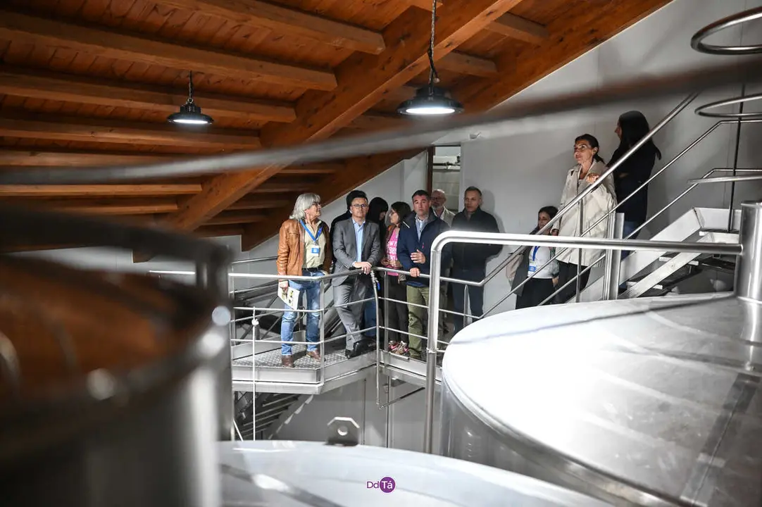 visita ladairo-5