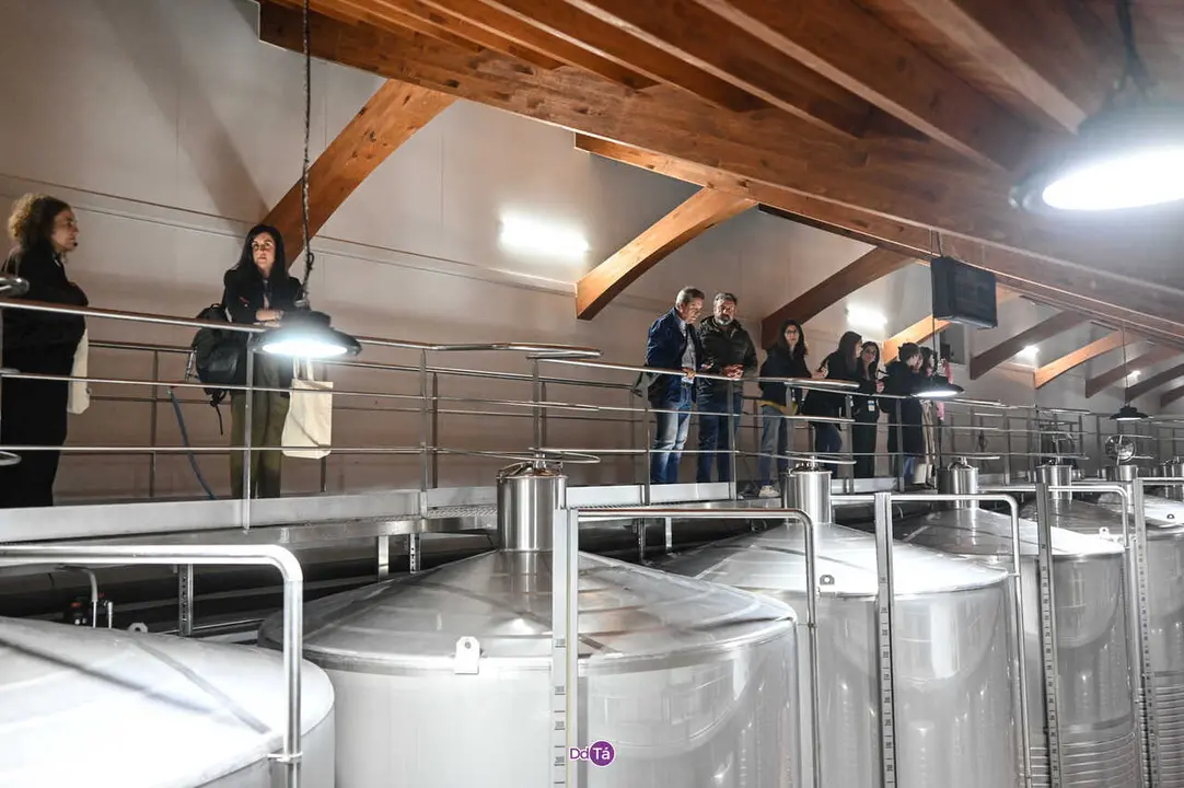 visita ladairo-13