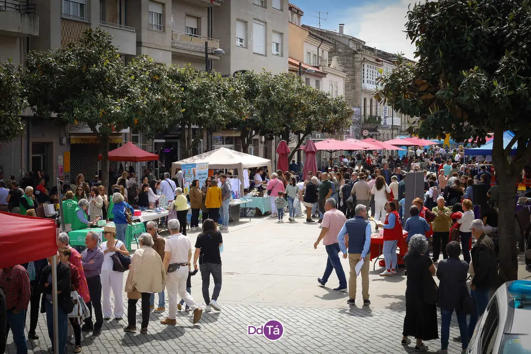 Maios Verin 2026-01