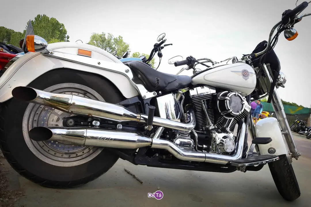 La explosiva Verin 2026 - harleys - moto-30