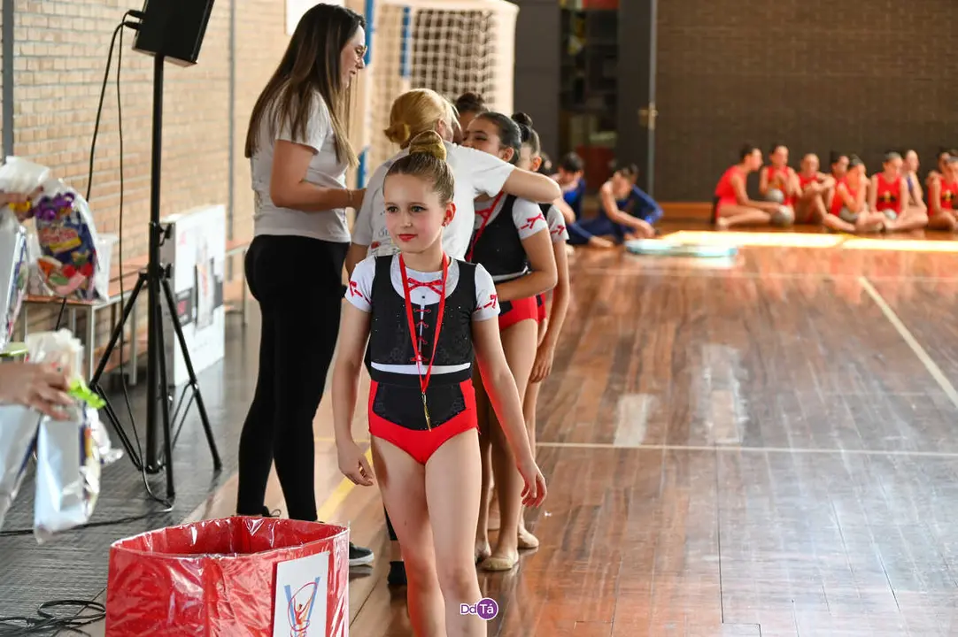 ximnasia ritmica verin-16