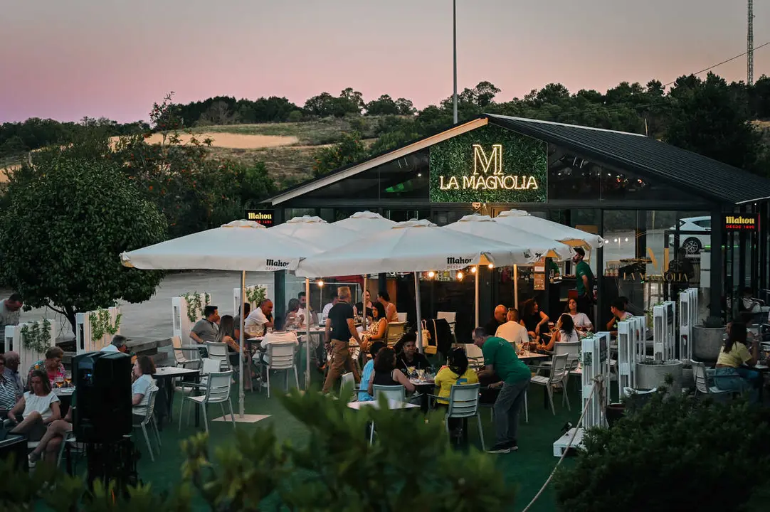 La magnolia-21