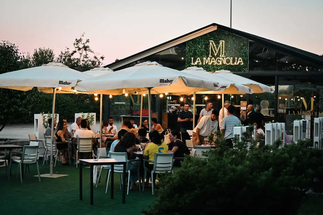 La magnolia-26