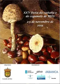 FESTA-DA-CASTA&Ntilde;A-E-DO-COGUMELO-2019