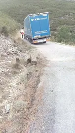 cami&oacute;n3