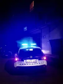 fiesta ilegal, Polic&iacute;a Local, Ver&iacute;n