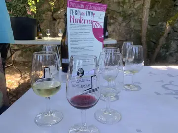 Vinos de Monterrei en la feria de 2021.