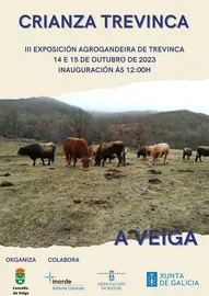 Crianza Trevinca 2023 A Veiga (4)