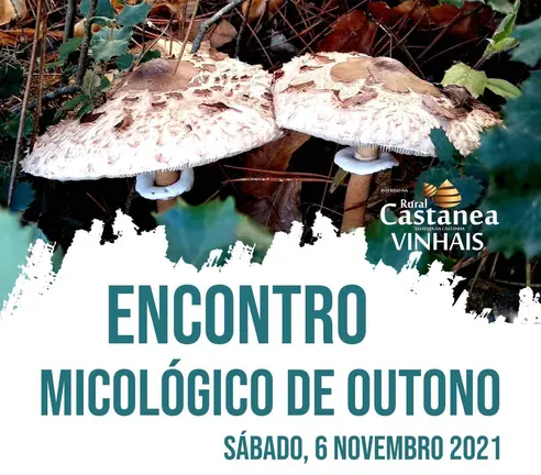 Xornadas micol&oacute;xicas no marco da Rural Castanea de Vinhais.