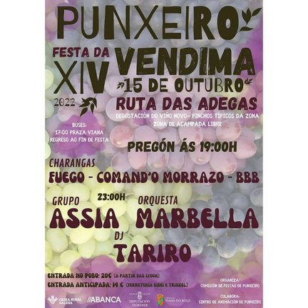 Cartel da festa en Punxeiro, Viana.