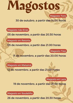 Cartel dos magostos que celebrar&aacute;n en Laza a partir deste domingo e no mes de novembro.