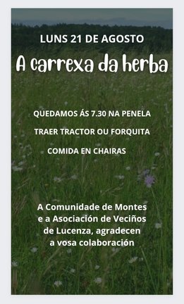 21 agosto, carrexada herba Lucenza