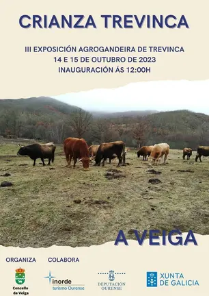 Crianza Trevinca 2023 A Veiga (4)