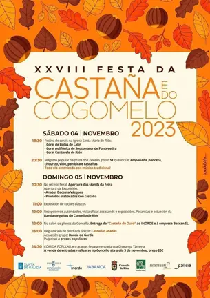 2023 11 4 festa casta&ntilde;a ri&oacute;s