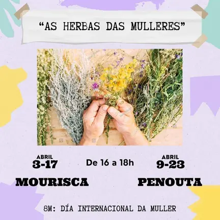 202404 obradoiro herbas das mulleres, CIM Viana 8M