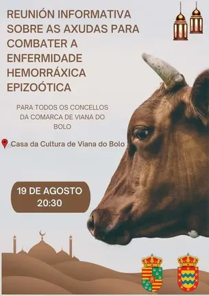 20240819 Reuni&oacute;n informativa enfermidade hemorr&aacute;xica vacas en Viana do Bolo