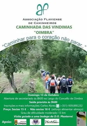 20241013 Andaina das vendimias_O&iacute;mbra_Asociaci&oacute;n flaviense de caminheiros