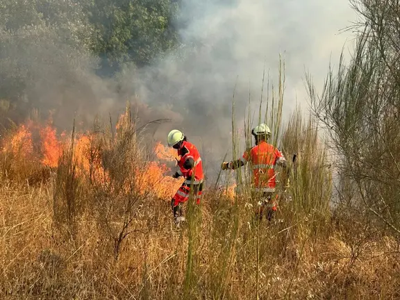 Imagen capturada por Noelia Caseiro en los incendios del verano de 2025.