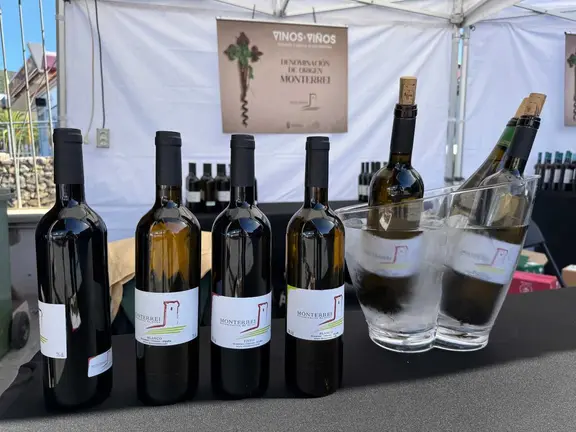 Do Monterrei Evento_Canarias (1)