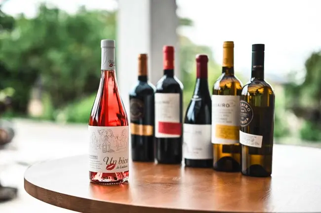El primer rosado de Ladairo, "Un Bico", con el resto de "compa&ntilde;eros" de bodega. | FOTO: Noelia Caseiro.