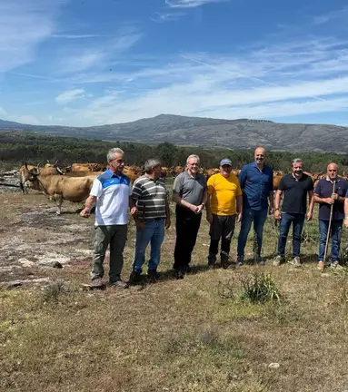 O director xeral de Gandar&iacute;a, Jos&eacute; Balseiros, xunto a gandeiros e representantes locais durante a visita &aacute; explotaci&oacute;n de vaca cachena en Cualedro.
