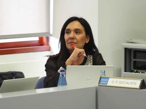 Carmen Rodr&iacute;guez Dacosta interpelar&aacute; a la conselleira do Medio Rural sobre el dispositivo de incendios.