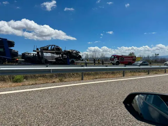 El cami&oacute;n transportaba veh&iacute;culos el&eacute;ctricos.
