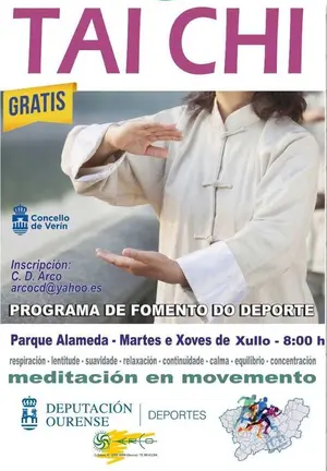 Cartel del programa de Tai Chi gratuito organizado por el Concello de Ver&iacute;n y el Gimnasio Arco.
