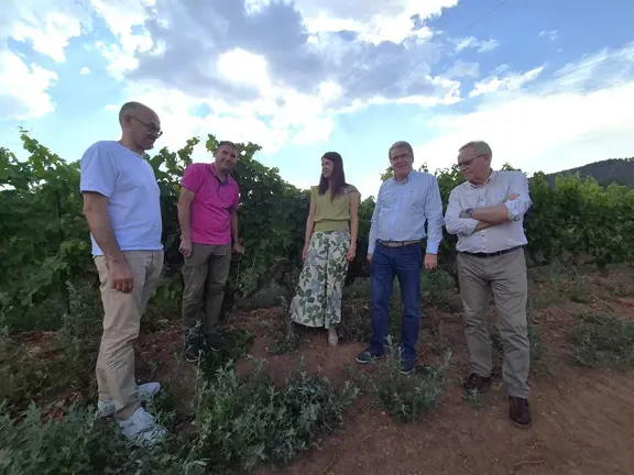 Mar&iacute;a Jos&eacute; G&oacute;mez visitou Bodegas Ladairo, en O&iacute;mbra, para co&ntilde;ecer a evoluci&oacute;n da campa&ntilde;a vitivin&iacute;cola.