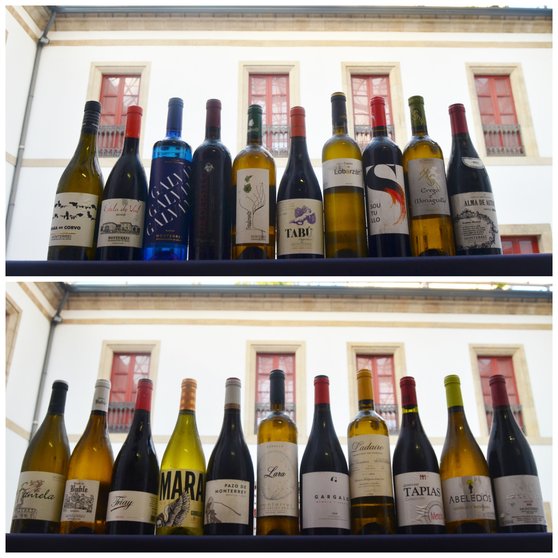 Los 21 vinos que participaron en el Túnel del Vino en Ferrol.